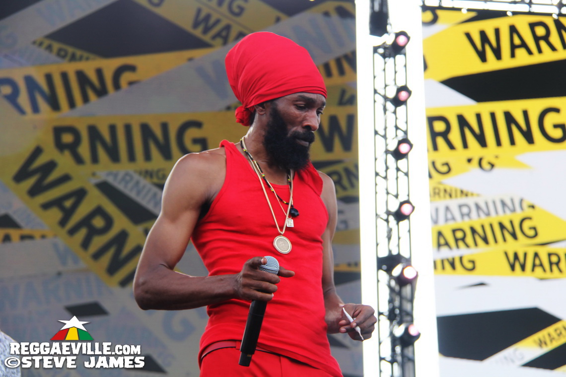 Madhouse Tribute to Dave Kelly