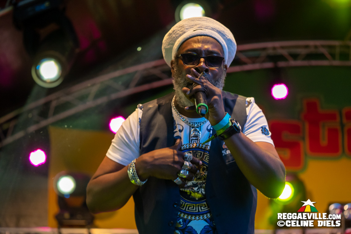 One Revolution Band, Hollie Cook, Prince Fatty & Horseman