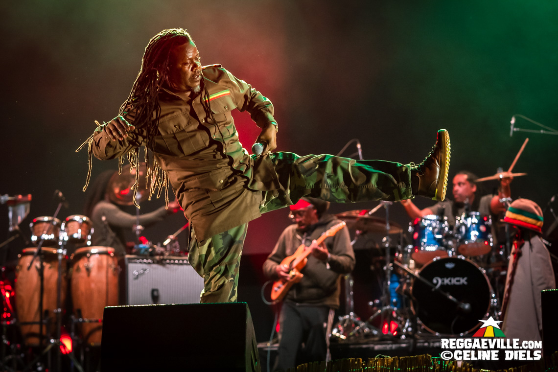 Luciano, Christopher Ellis, Mortimer