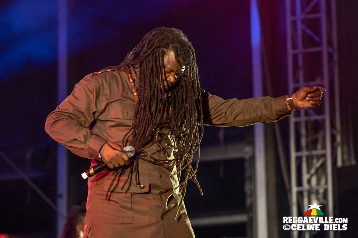 Luciano, Christopher Ellis, Mortimer