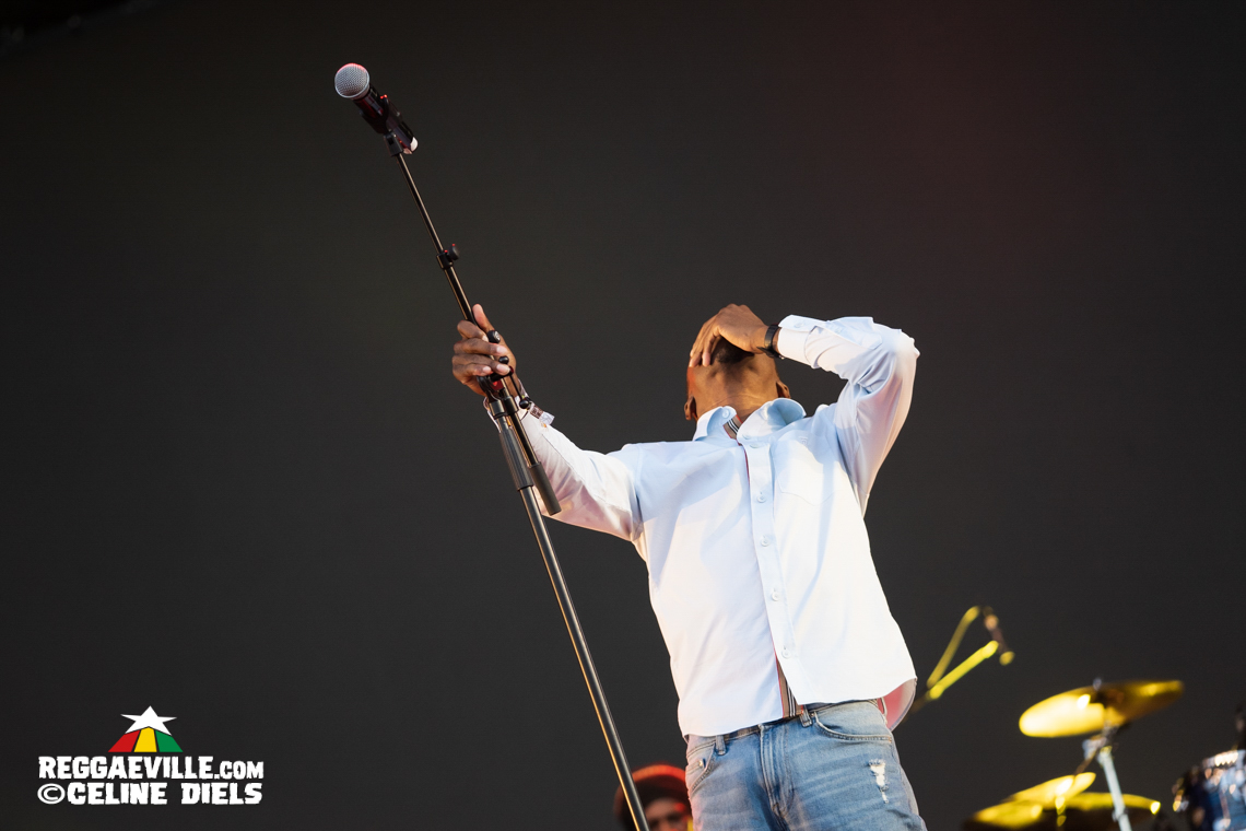 Luciano, Christopher Ellis, Mortimer