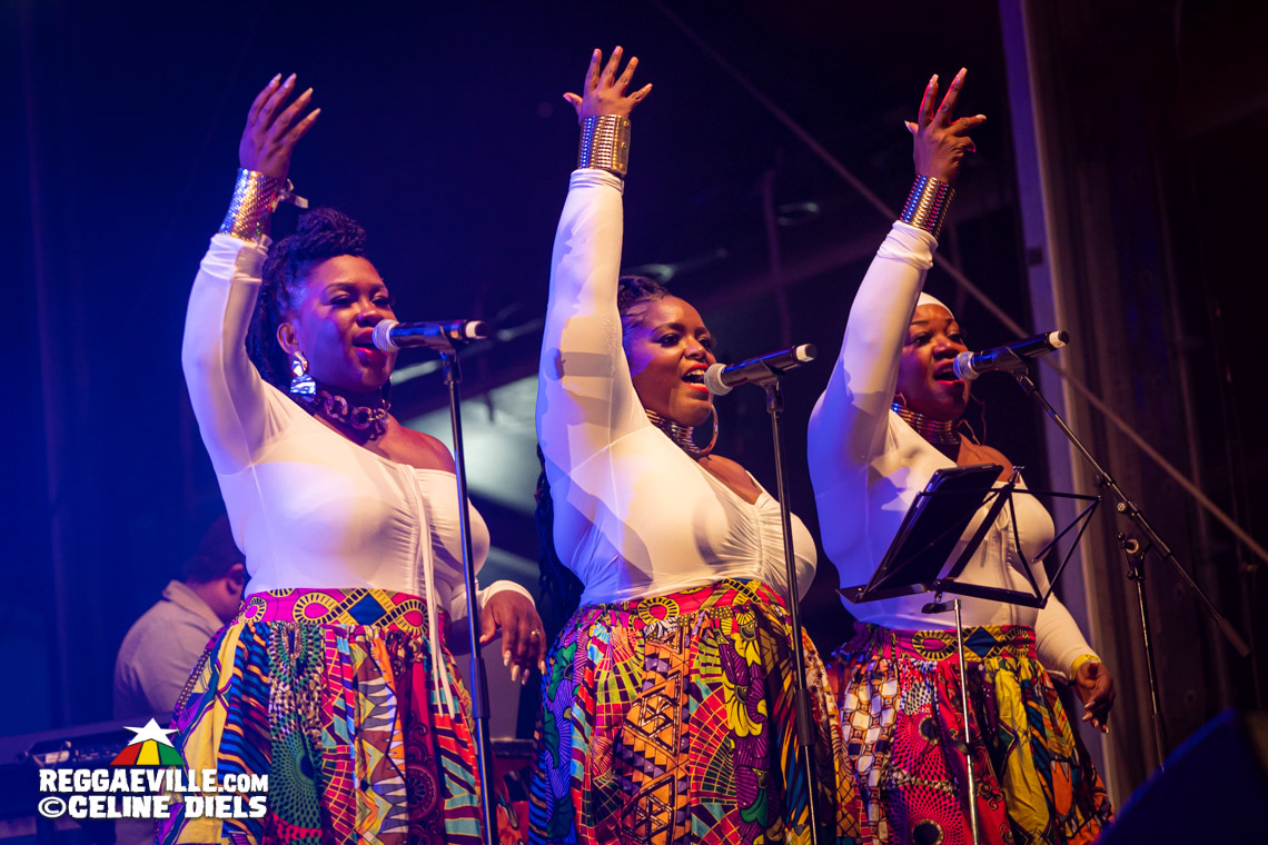 Luciano, Christopher Ellis, Mortimer