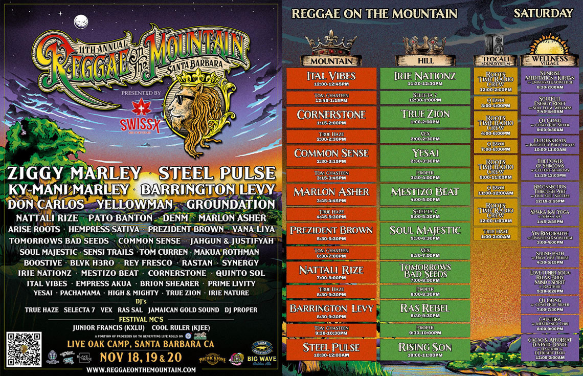 Barrington Levy, Steel Pulse