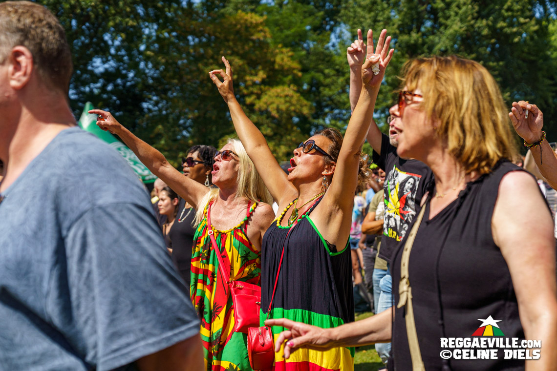 Steel Pulse, Rootsriders, Boy Gé Mendes