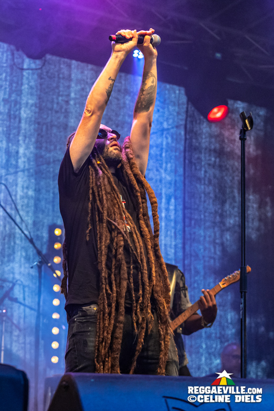 Alborosie, UB40