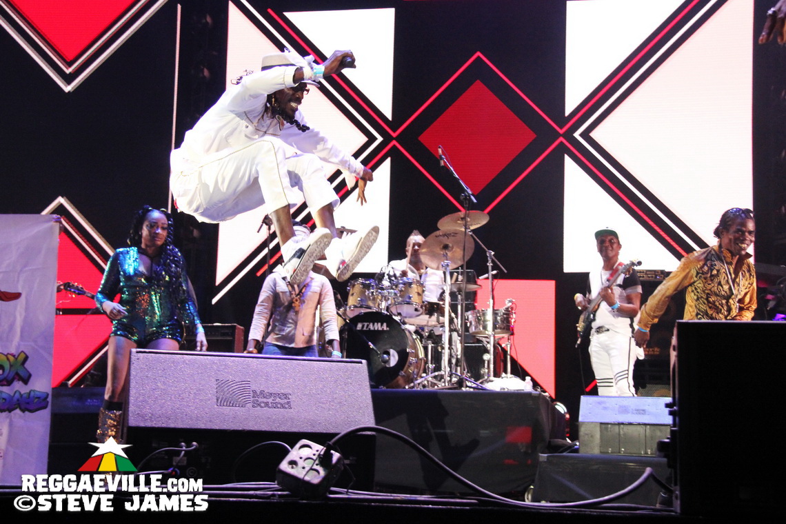 Ishawna, Moyann, Harry Toddler, Teebone, Shelly Belly