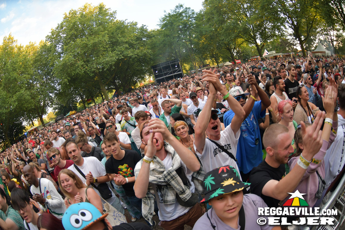 Collie Buddz, Greeen