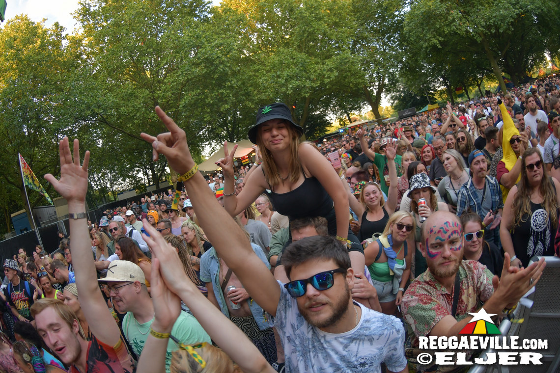 Collie Buddz, Greeen