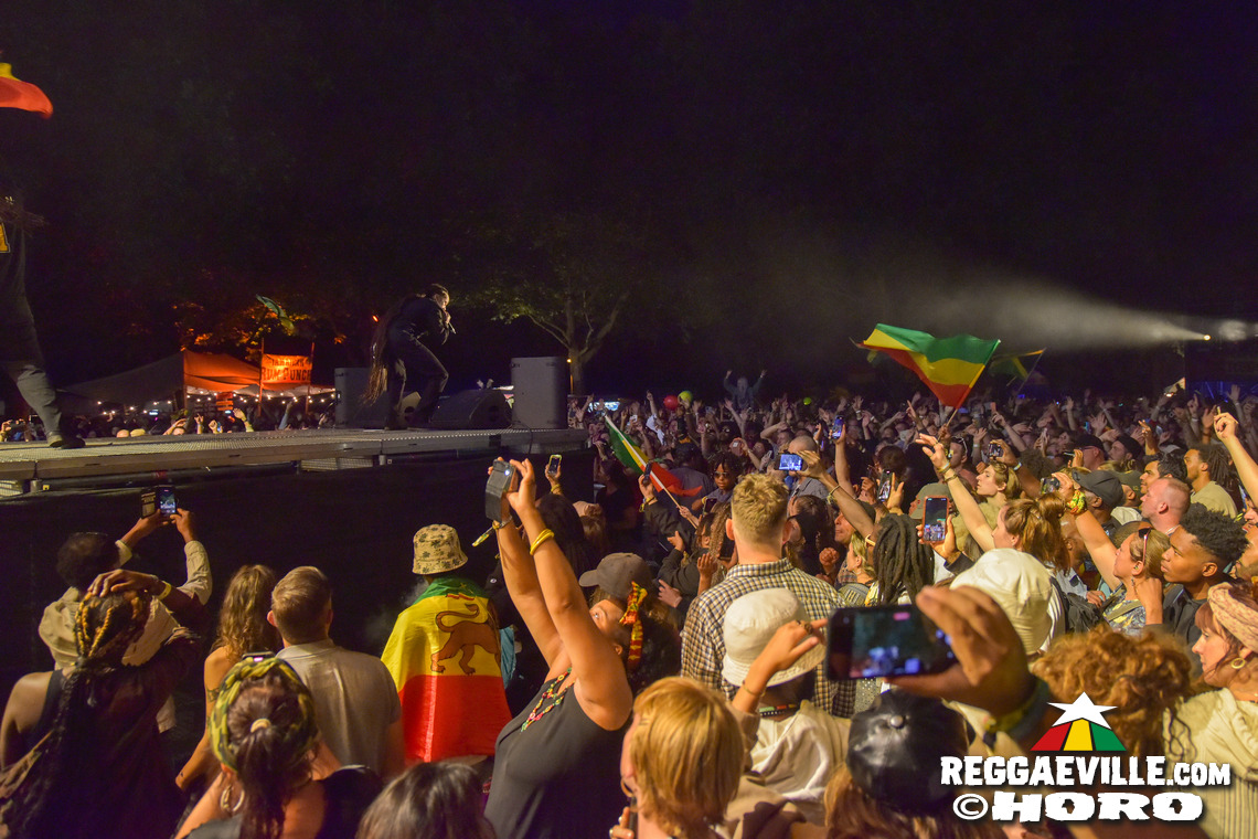 Damian Marley, Dub FX