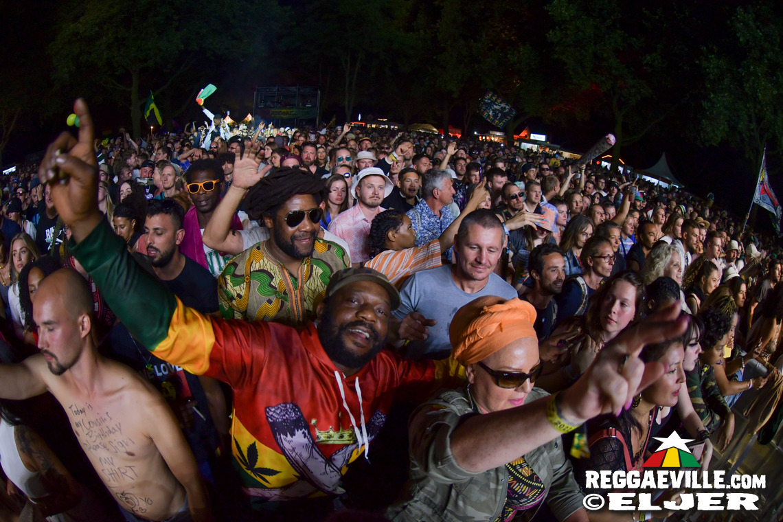 Damian Marley, Dub FX