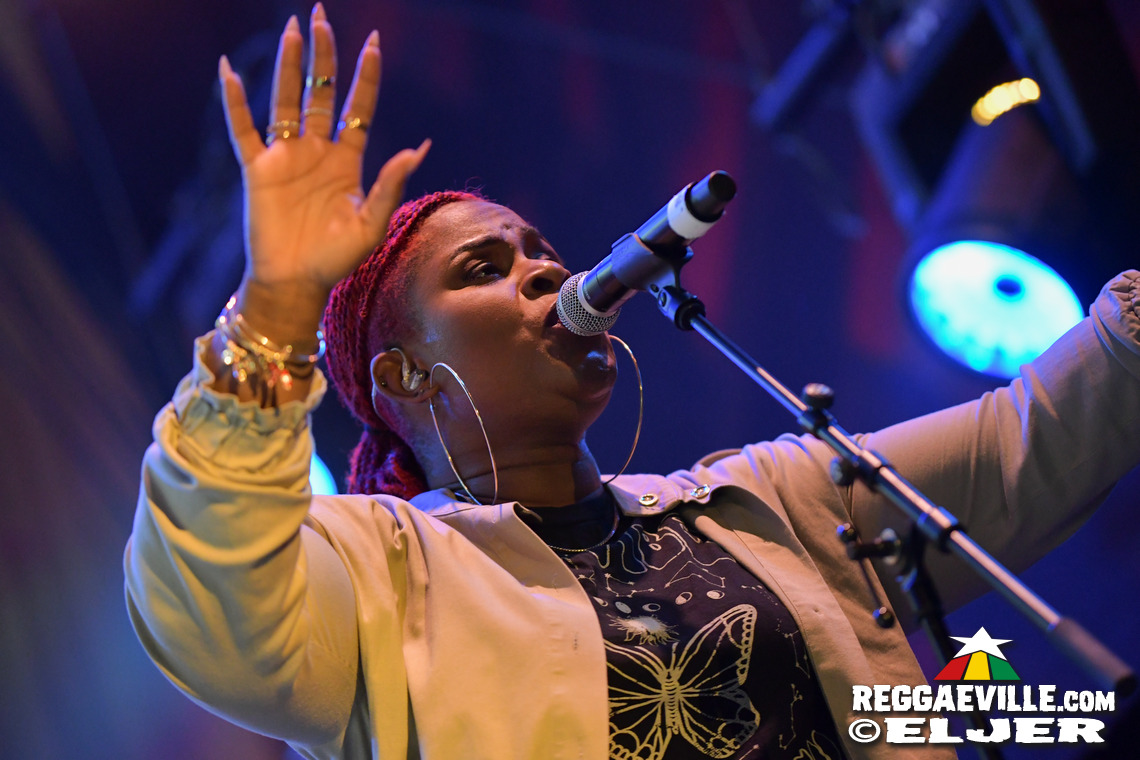 Damian Marley, Dub FX