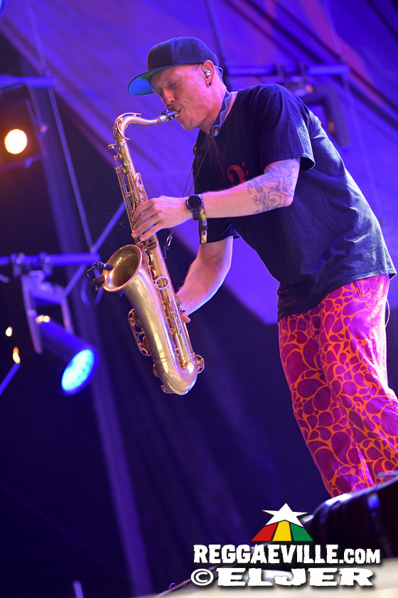 Damian Marley, Dub FX