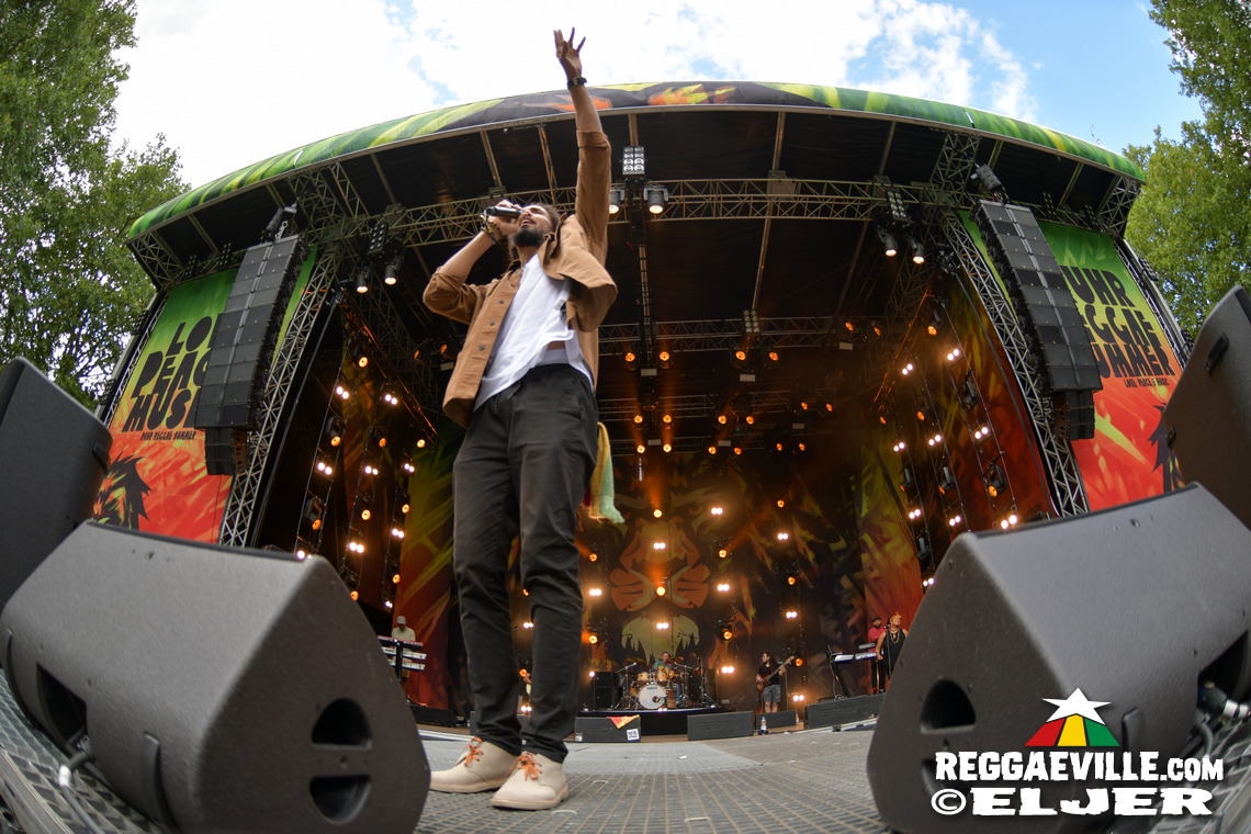 Dr. Ring Ding, Verse iTal, Dancing School - Munixx Inna Motion