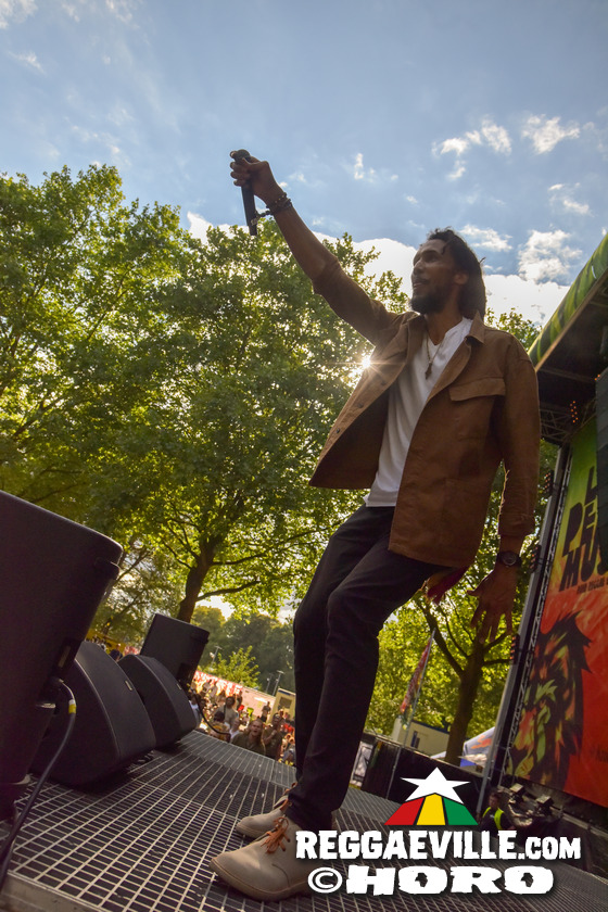 Dr. Ring Ding, Verse iTal, Dancing School - Munixx Inna Motion