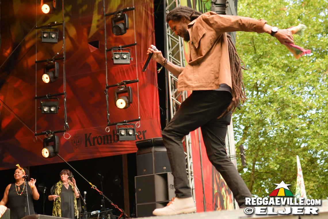 Dr. Ring Ding, Verse iTal, Dancing School - Munixx Inna Motion