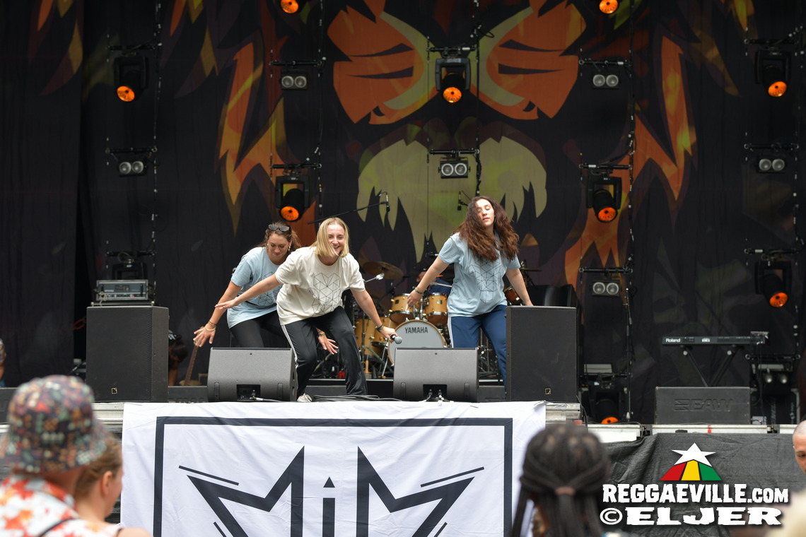 Dr. Ring Ding, Verse iTal, Dancing School - Munixx Inna Motion