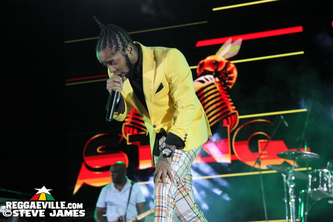 Etana, Fantan Mojah, Roze Don, Droop Lion, Shane O...