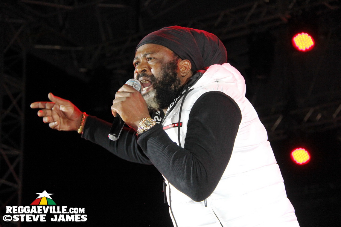 Etana, Fantan Mojah, Roze Don, Droop Lion, Shane O...