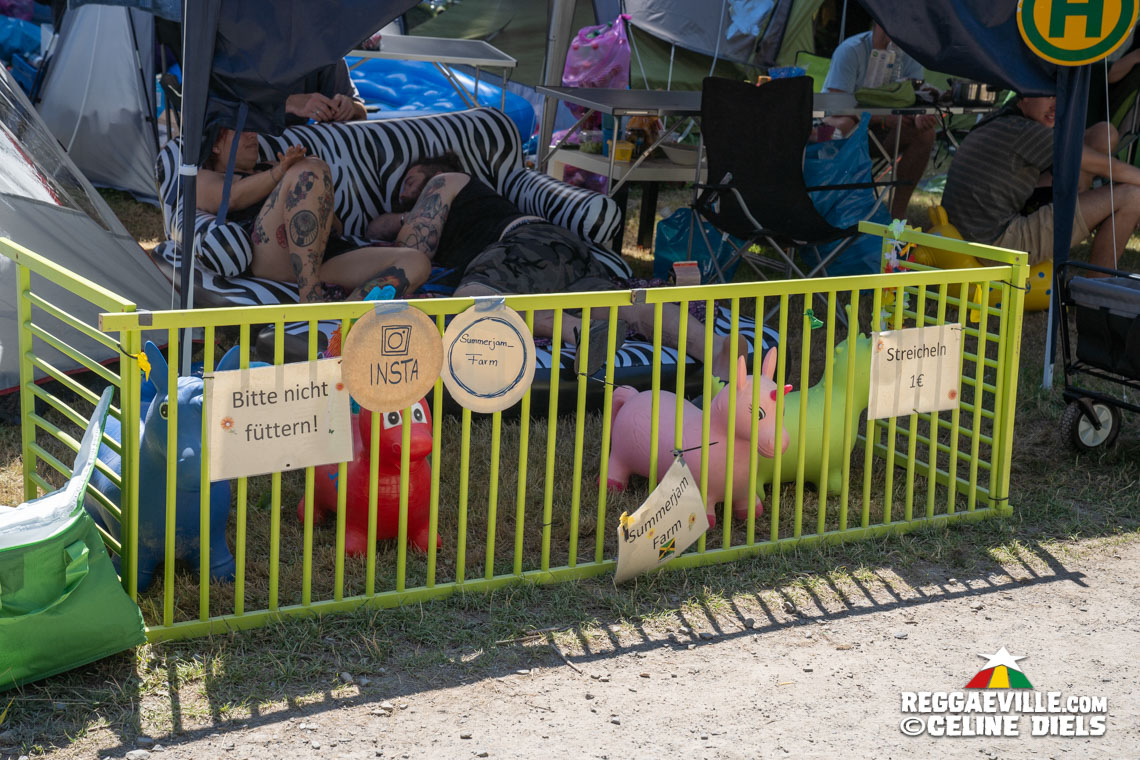 Festival Impressions