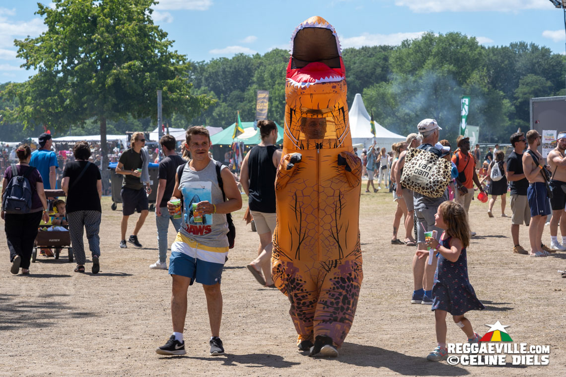 Festival Impressions