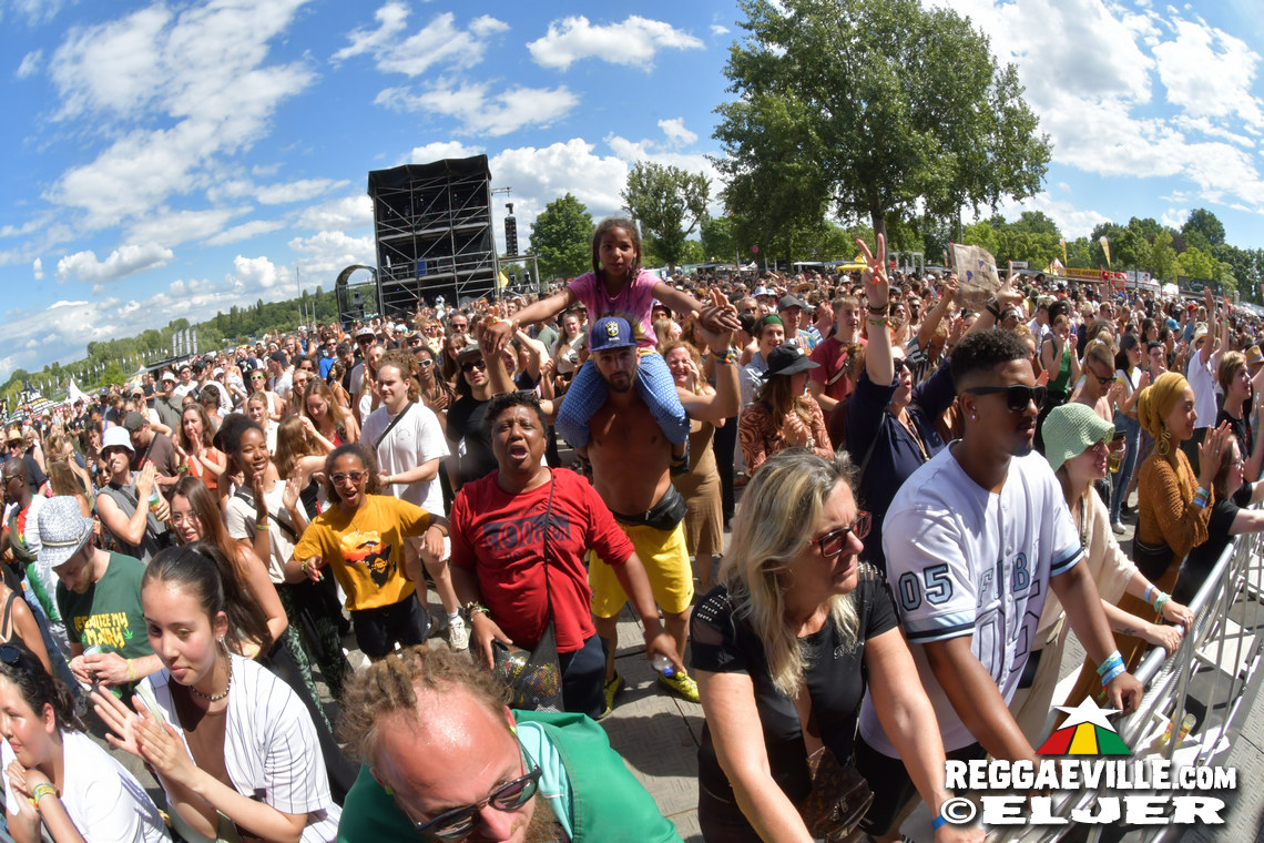 Memoria, Hollie Cook, Miwata