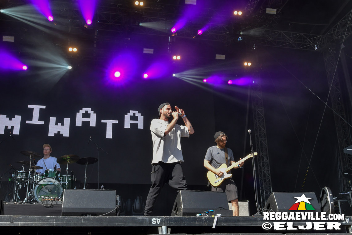 Memoria, Hollie Cook, Miwata