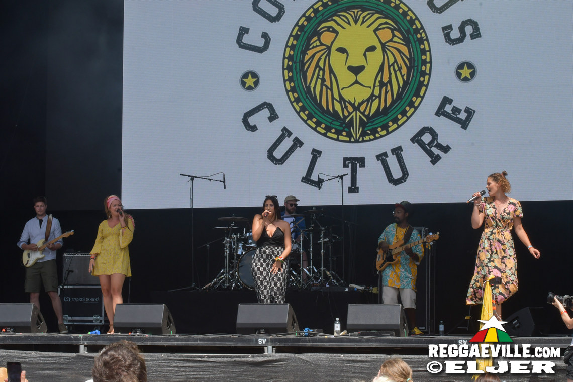 Marcus Gad, Guacáyo, Conscious Culture