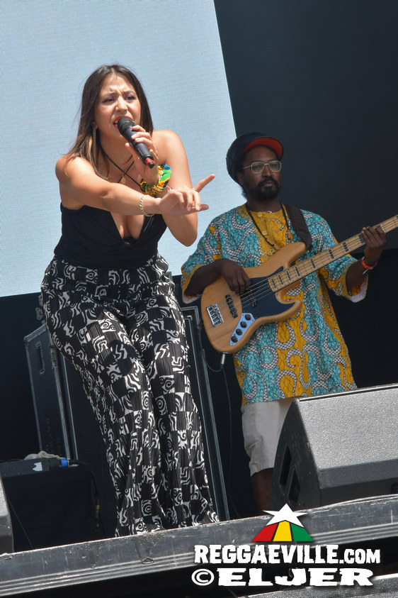 Marcus Gad, Guacáyo, Conscious Culture