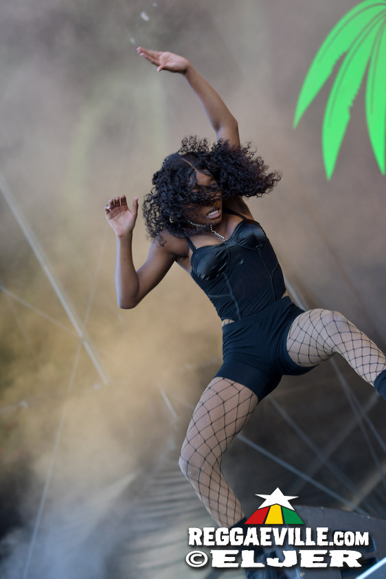 Sean Paul, Spice, Stefflon Don