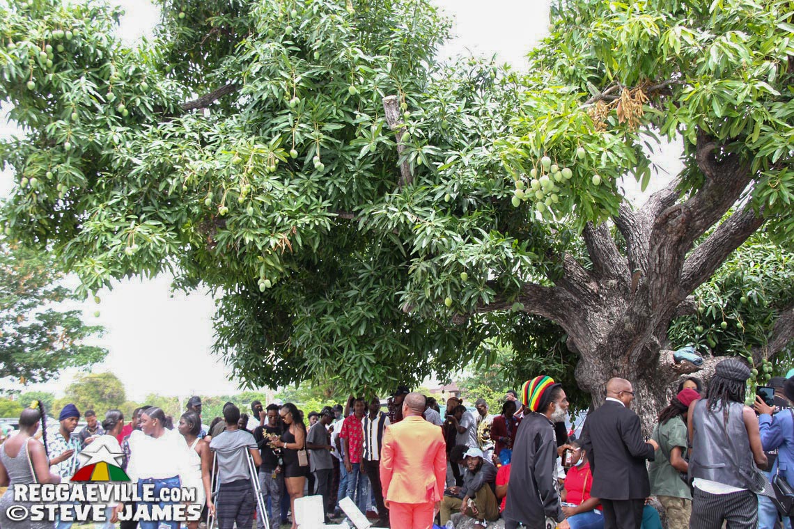 Tabby Diamond - Memorial Service (Part III)