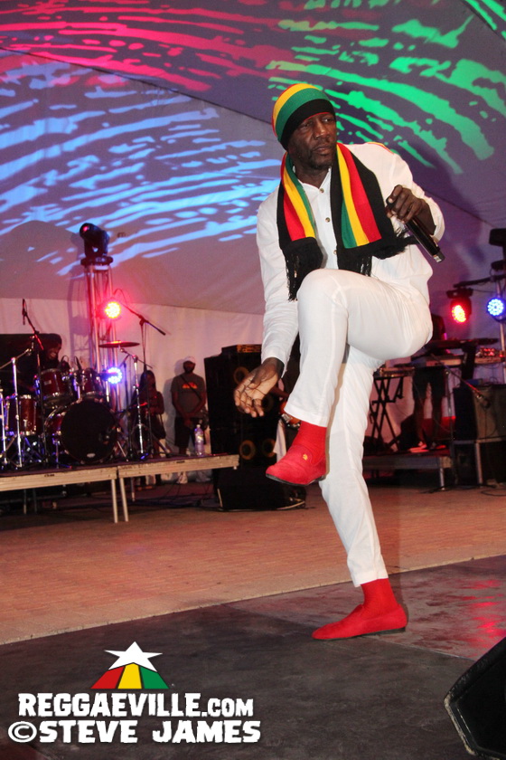 Etana, Duane Stephenson, Natural Black, Leroy Sibbles...