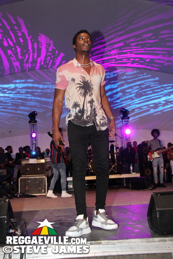 Marcia Griffiths, Tanya Stephens, Romain Virgo, Kabaka Pyramid...