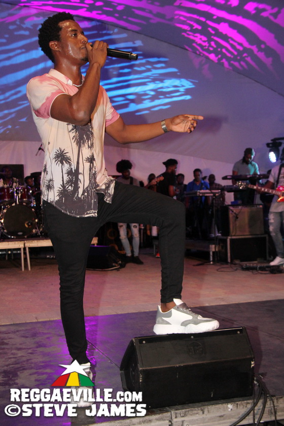 Marcia Griffiths, Tanya Stephens, Romain Virgo, Kabaka Pyramid...