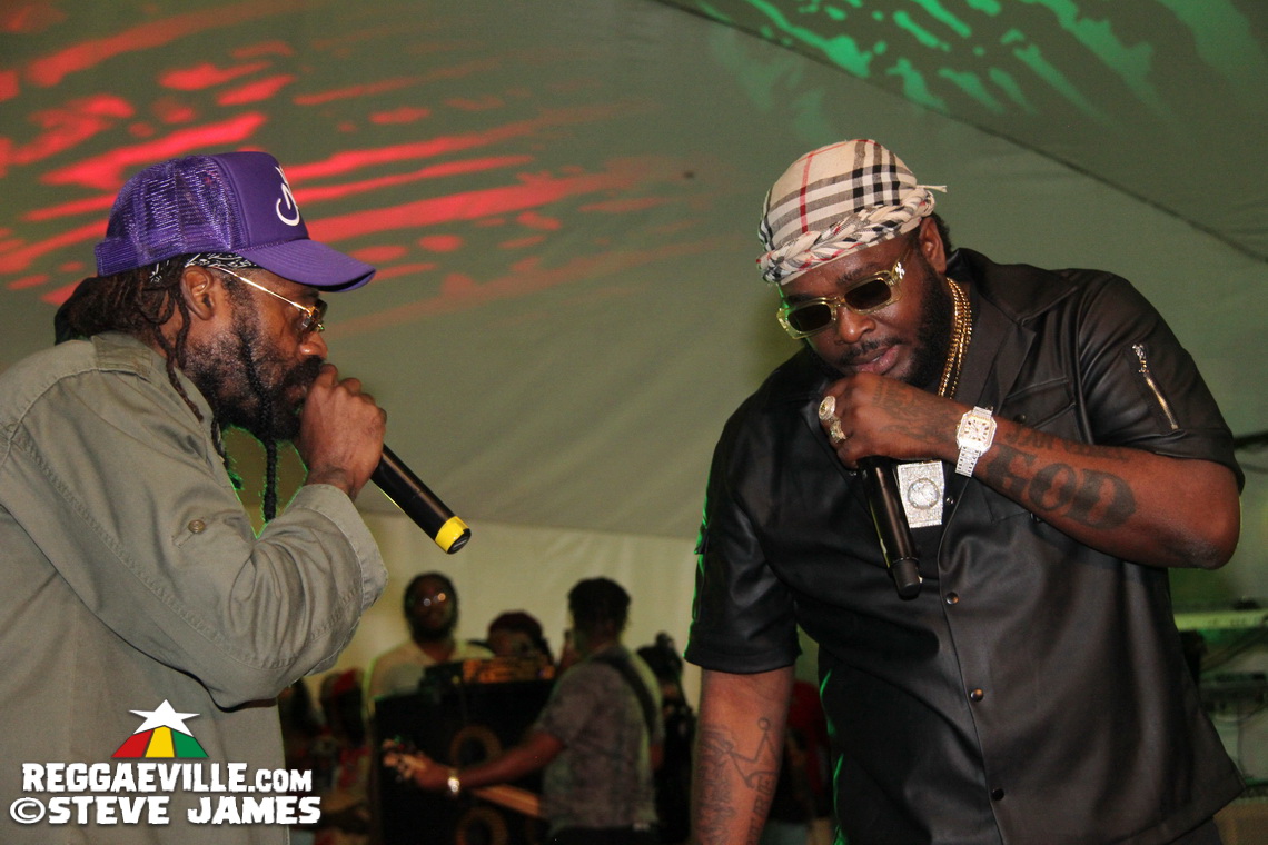 Marcia Griffiths, Tanya Stephens, Romain Virgo, Kabaka Pyramid...