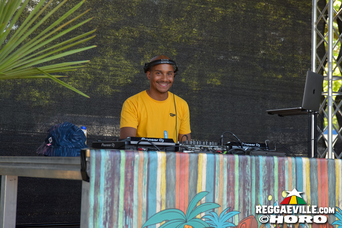 Mike Love, Toké, Martin Jondo