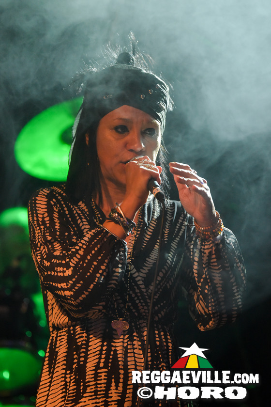 Wicked Dub Division meets North East Ska Jazz Orchestra, The Void Union