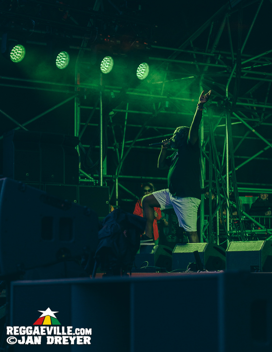 Mungo's Hi-Fi, L'Entourloop, Barrington Levy, Mr. Williamz