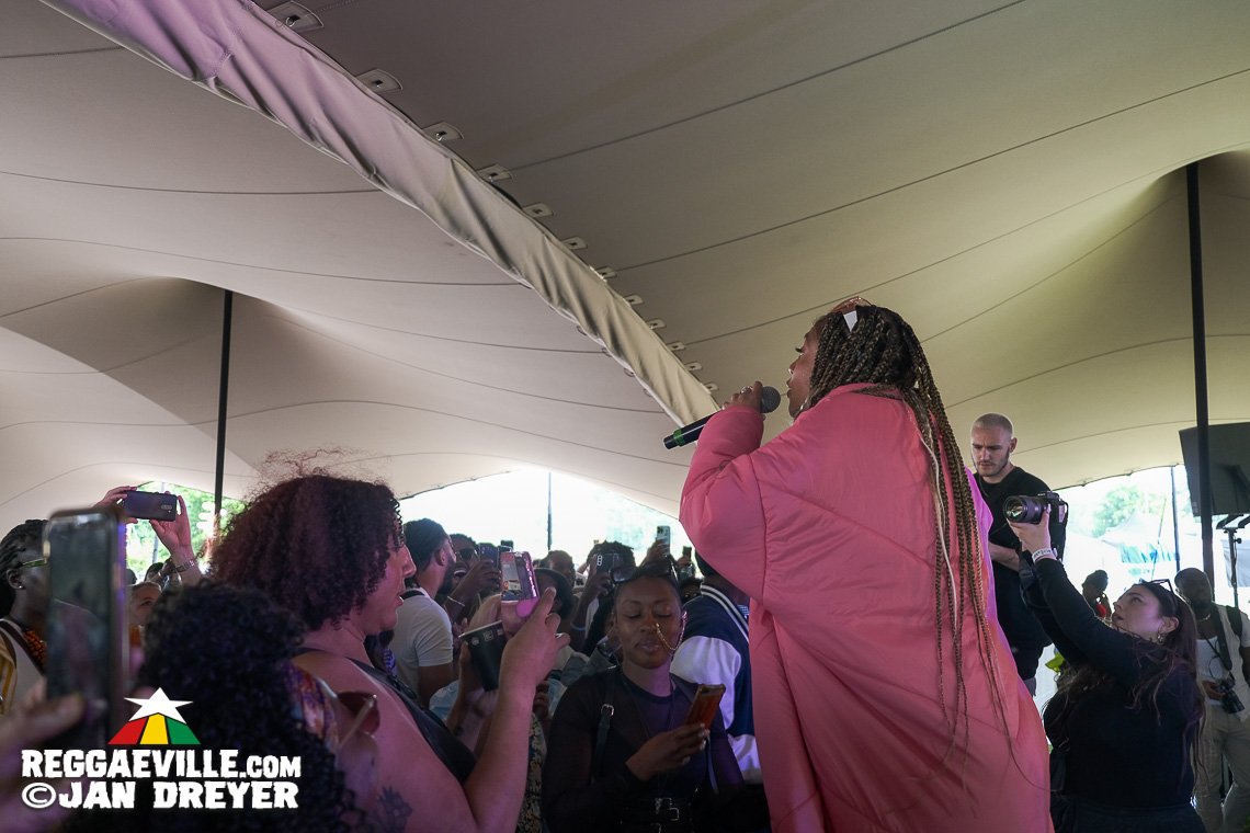 Twinkle Brothers, Lutan Fyah, Droop Lion, Toddla T with Naomi Cowan & Runkus