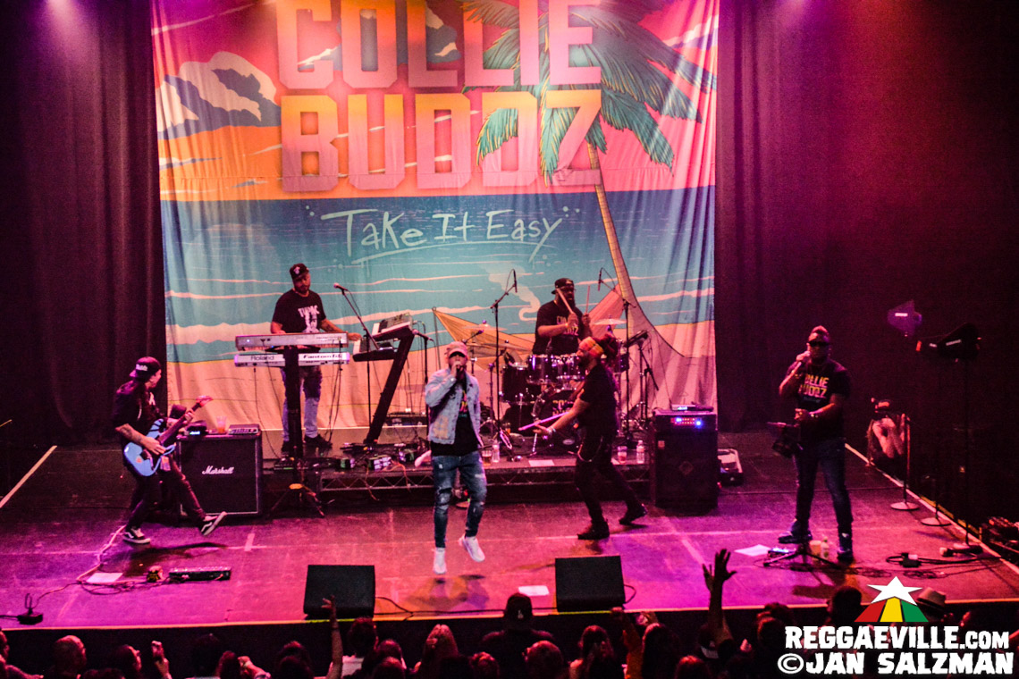 Collie Buddz