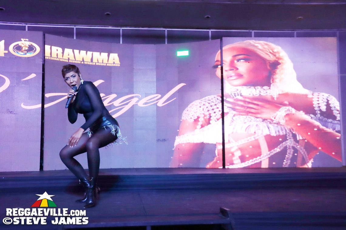 Kabaka Pyramid, Spice, Bounty Killer, Glen Washington...