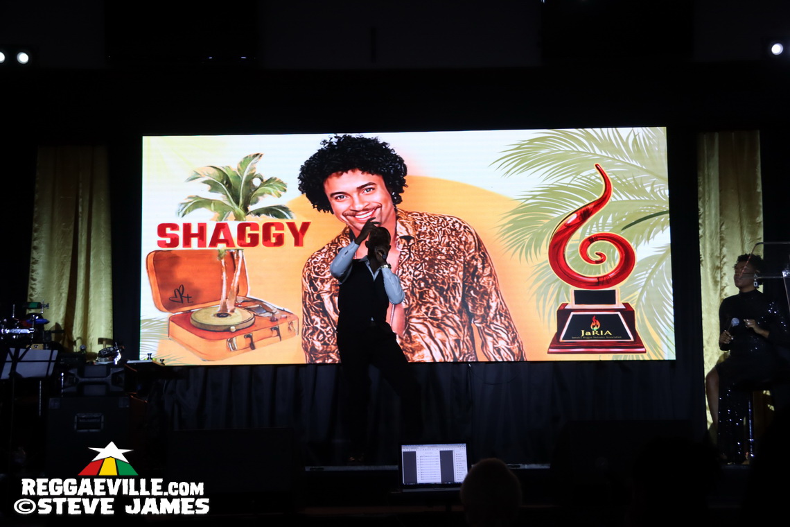 Horace Andy, Sharon Marley, Patricia Meschino...