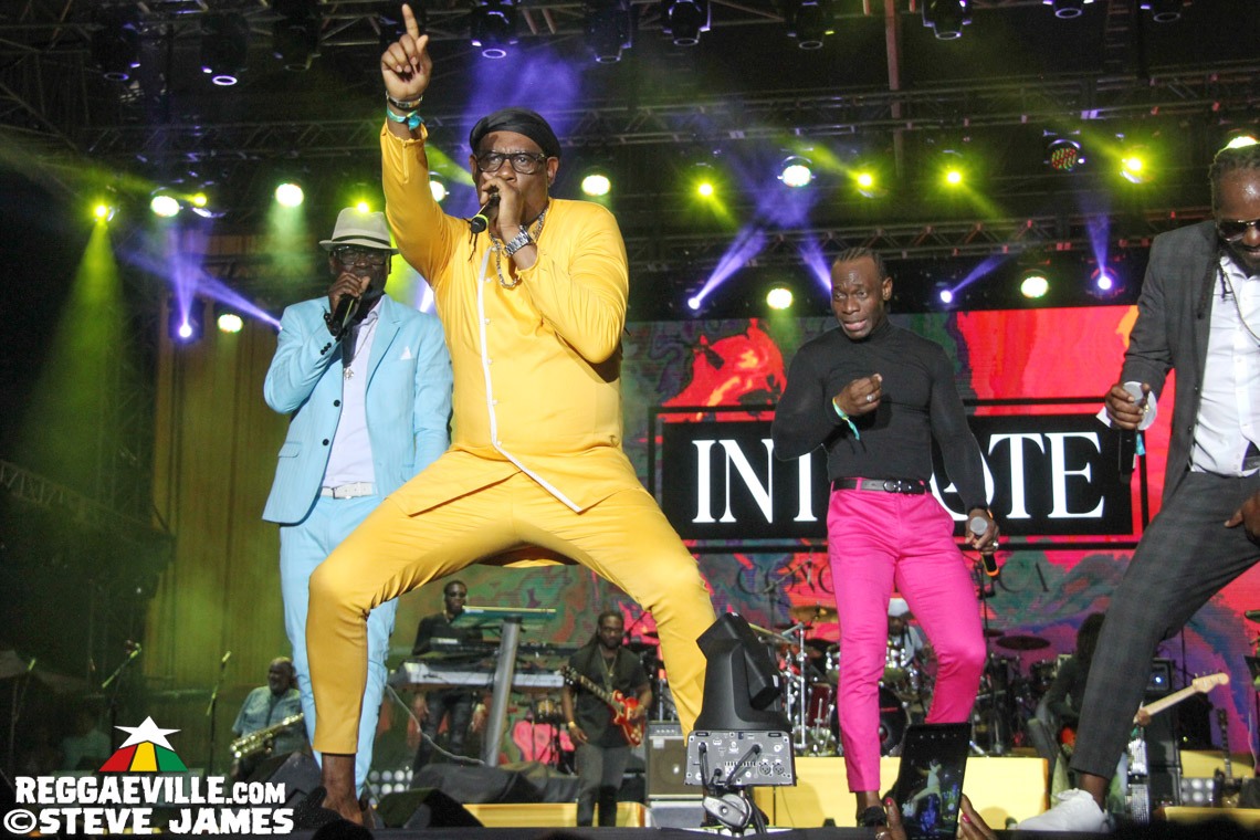 L.U.S.T, D'Yani, MediSun, Mitch