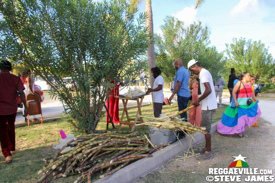 L.U.S.T, D'Yani, MediSun, Mitch