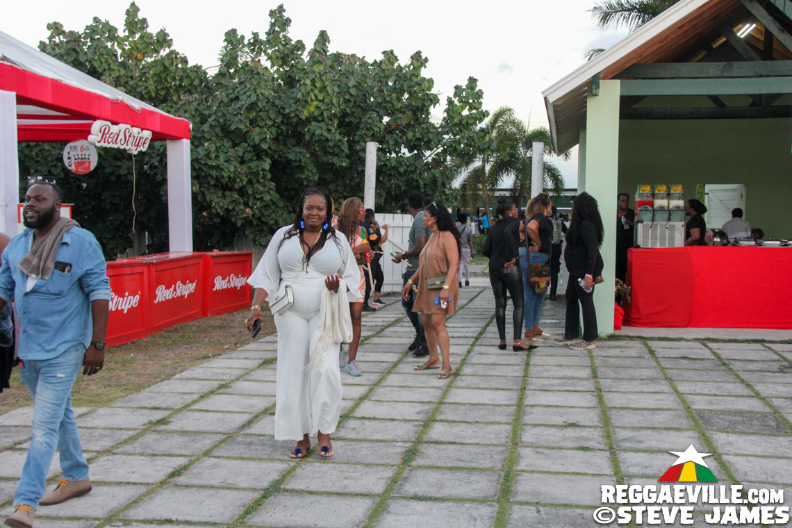 L.U.S.T, D'Yani, MediSun, Mitch