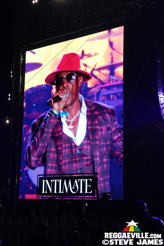 L.U.S.T, D'Yani, MediSun, Mitch