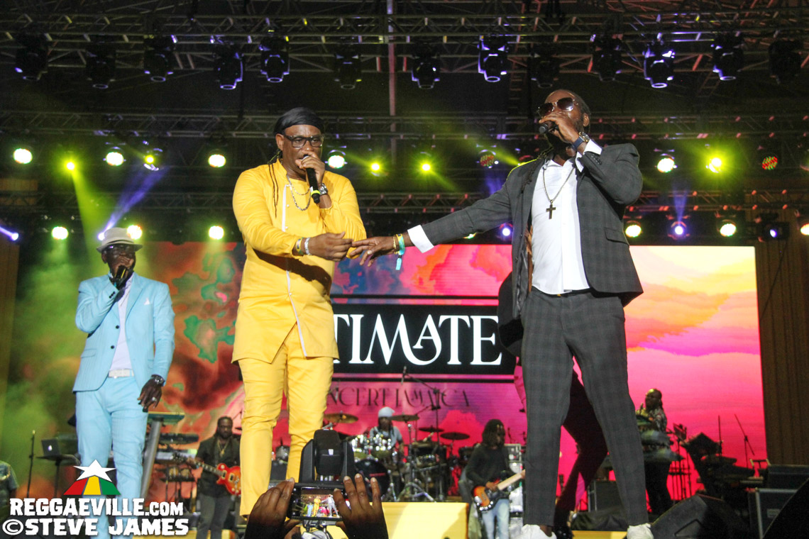 L.U.S.T, D'Yani, MediSun, Mitch