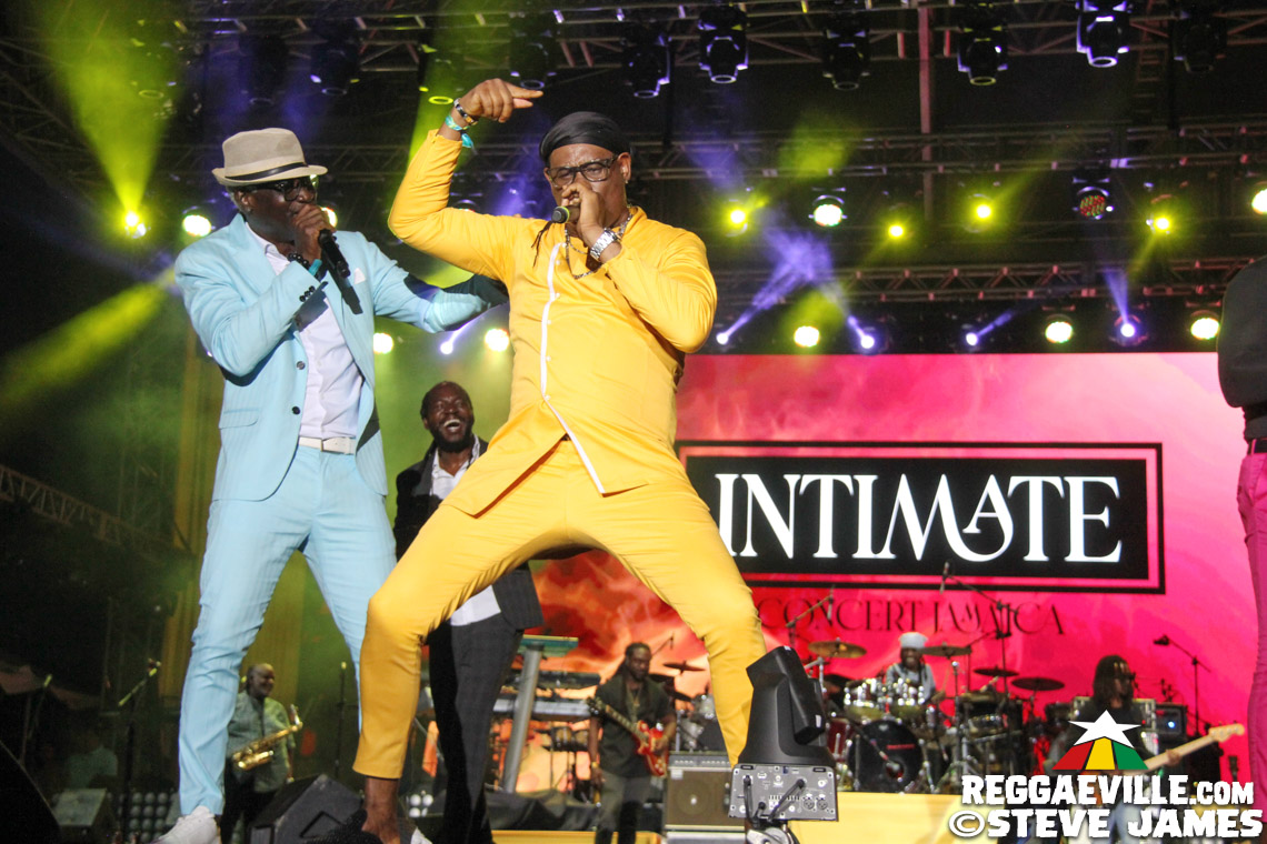 L.U.S.T, D'Yani, MediSun, Mitch