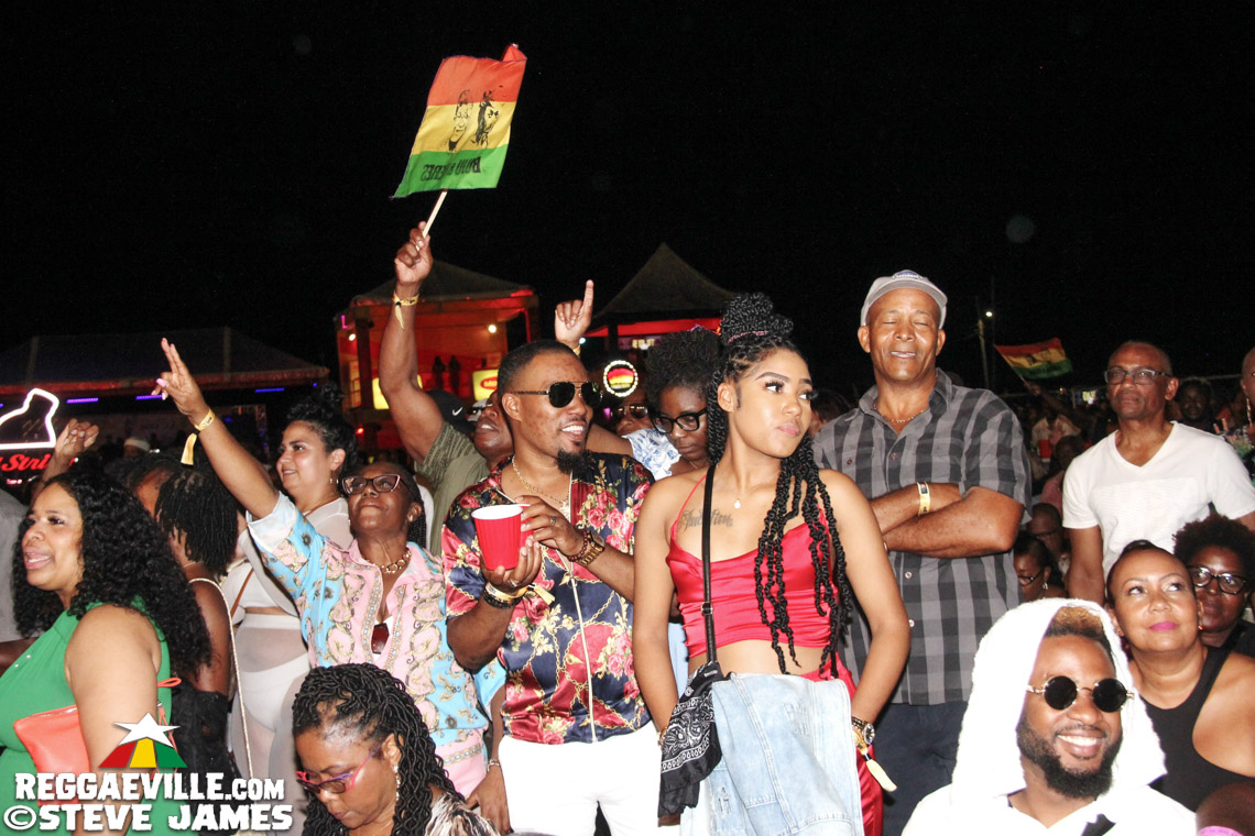 L.U.S.T, D'Yani, MediSun, Mitch