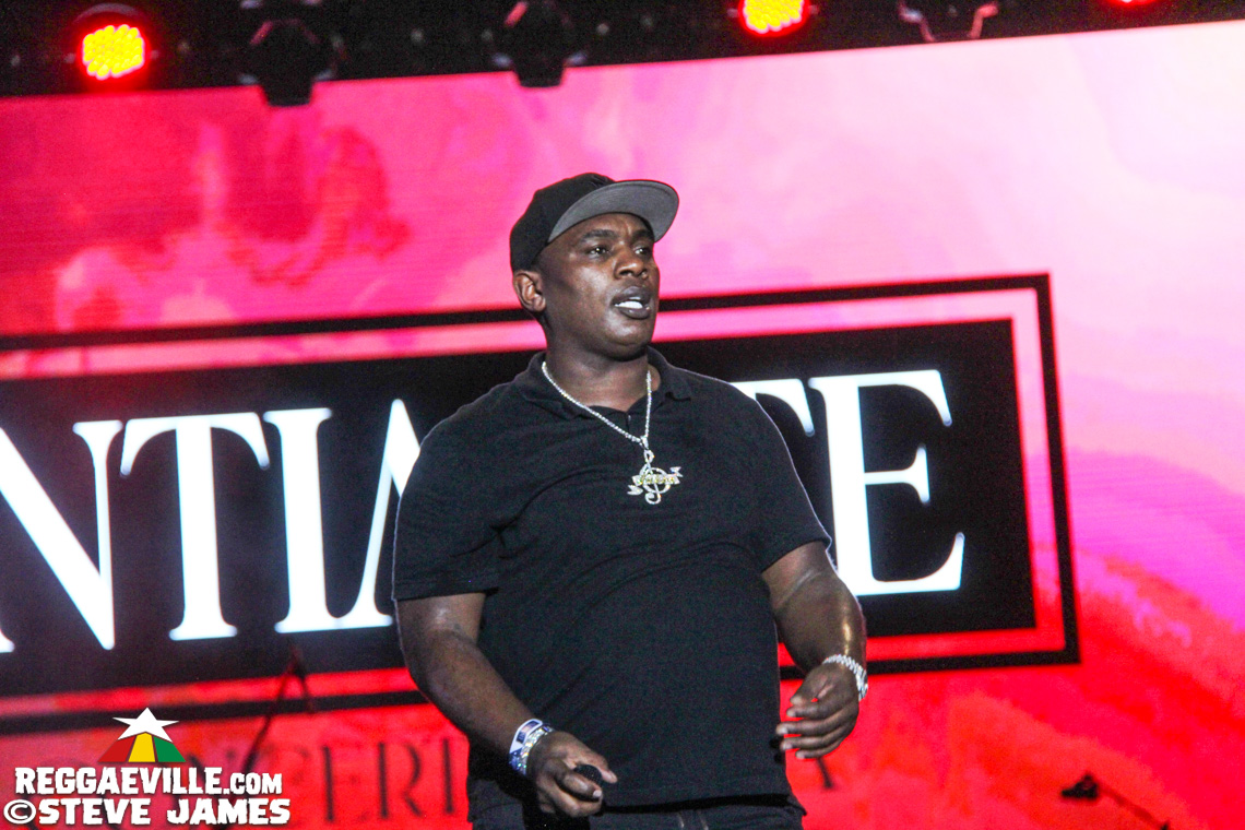 L.U.S.T, D'Yani, MediSun, Mitch