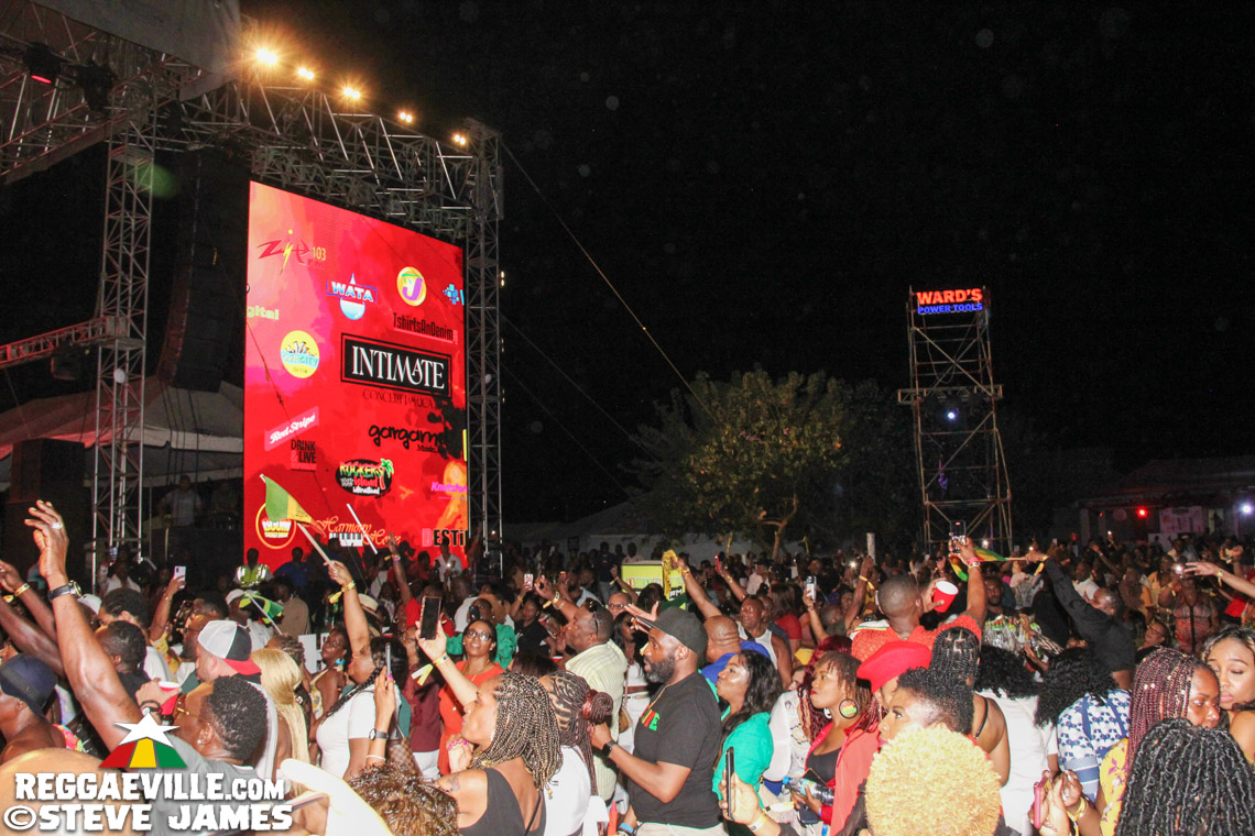 L.U.S.T, D'Yani, MediSun, Mitch